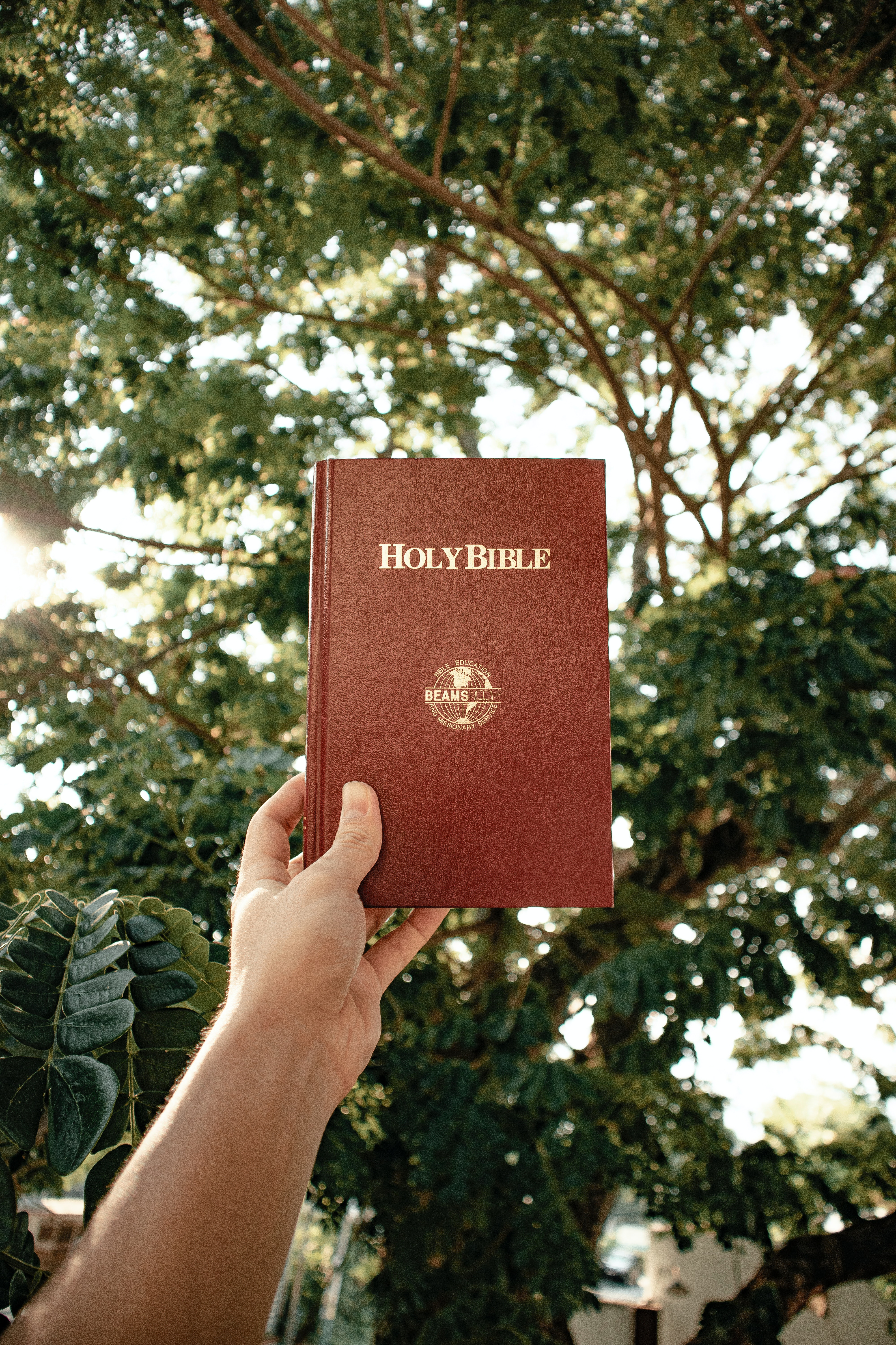 Someone holding up a brown leather Bible against the background of trees